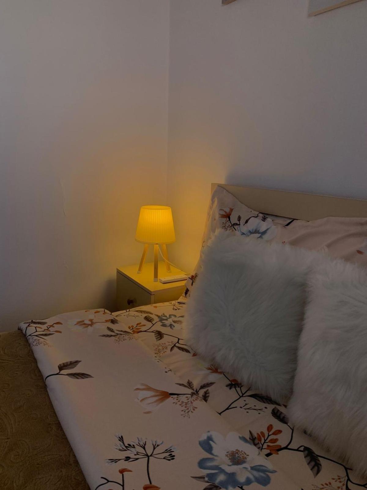 Ridi'S Comfort Apartment 2 Shkodër 외부 사진